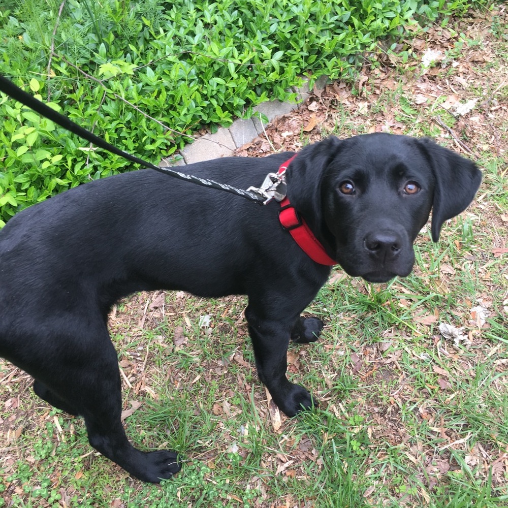 Meet your Posher, Cassie